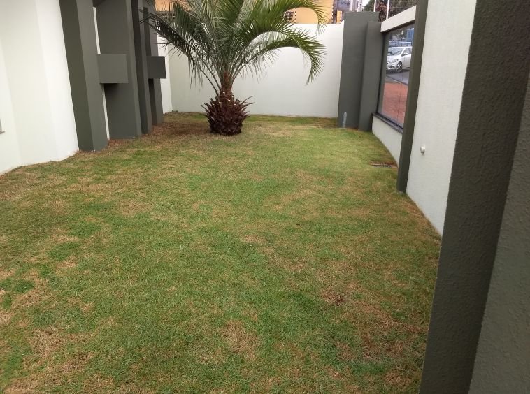 EM BREVE! CASA ALTO PADRÃO NO CENTRO
