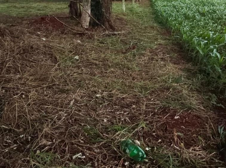 TERRENOS À VENDA NA VILA GUARUJÁ